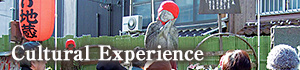Cultural Experience