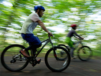 Donwhill Biking MTB (Adventure)