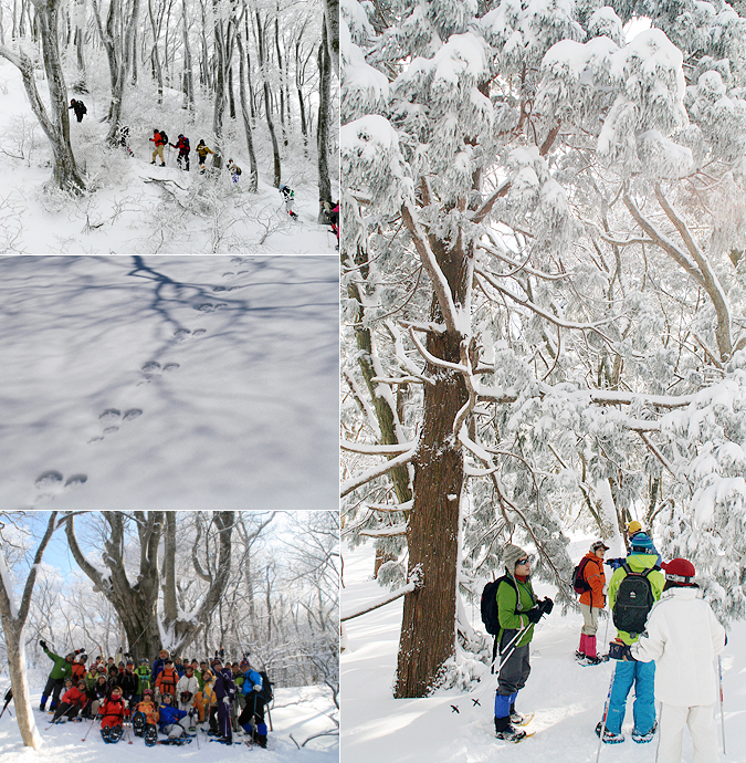 Snowshoe in Mt. Daisen